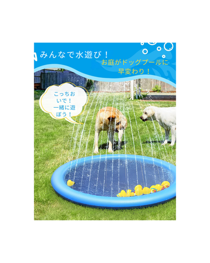 愛犬と遊べるスプリンクラープール