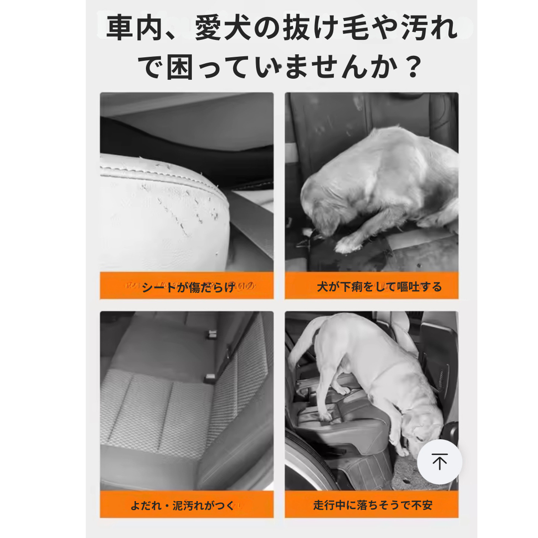愛犬とのドライブを、もっと快適に