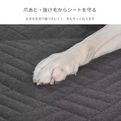 愛犬とのドライブを、もっと快適に