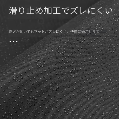 愛犬とのドライブを、もっと快適に