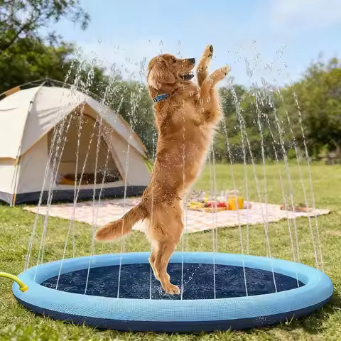 愛犬と遊べるスプリンクラープール